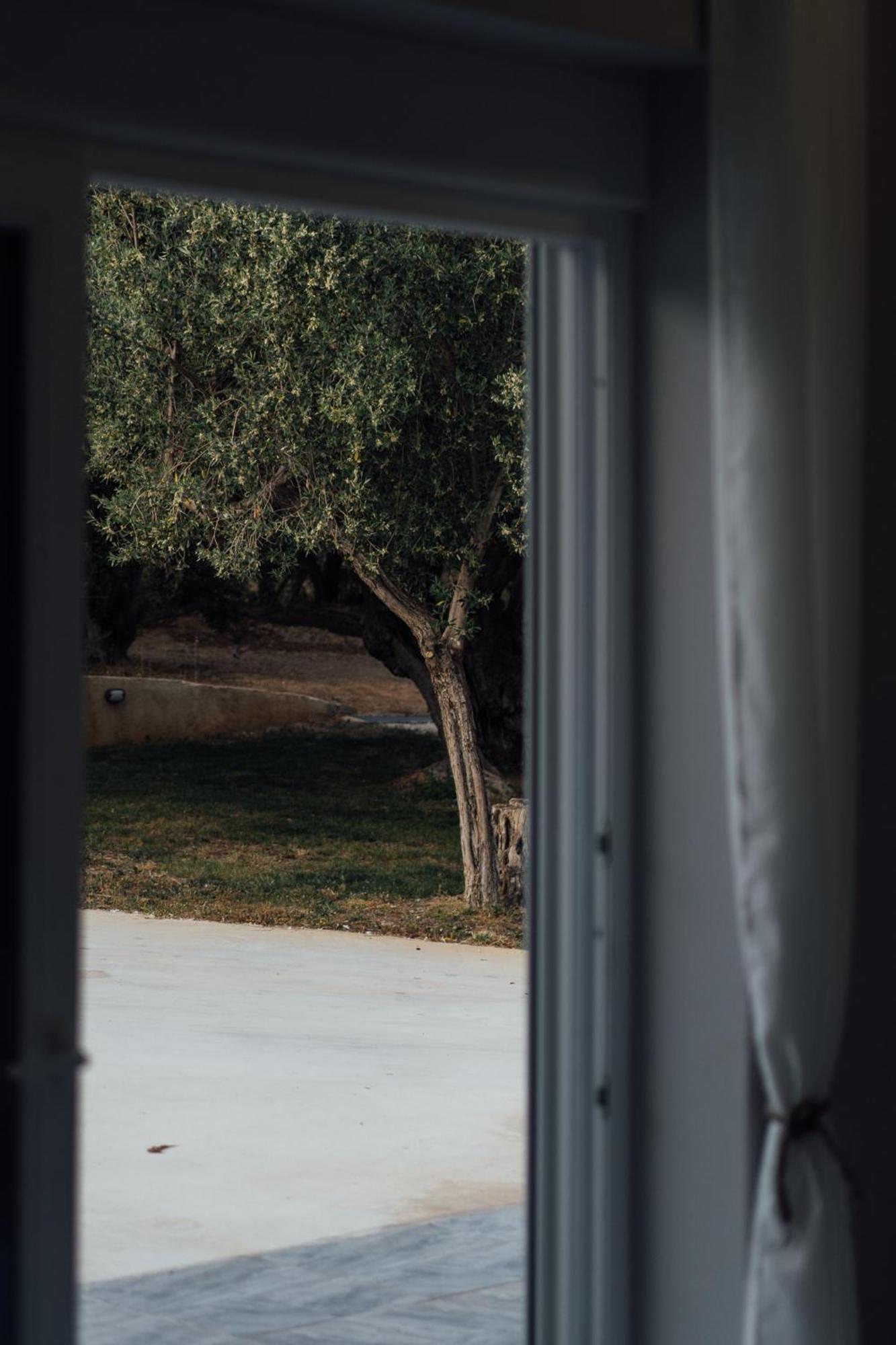 Blue Waves Luxury Suites By The Sea Plomari Eksteriør bilde