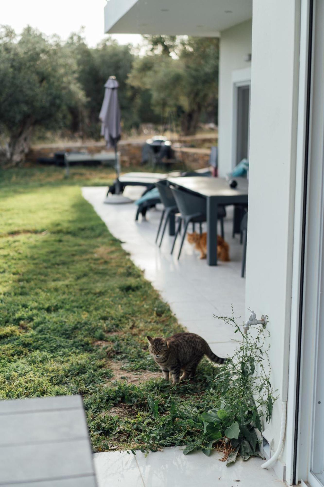 Blue Waves Luxury Suites By The Sea Plomari Eksteriør bilde